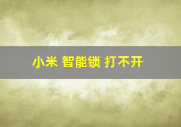 小米 智能锁 打不开